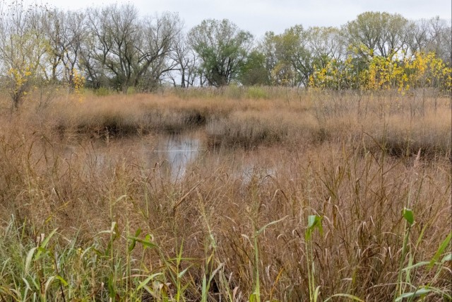 Kanopolis Lake: Go for the water, stay for the land