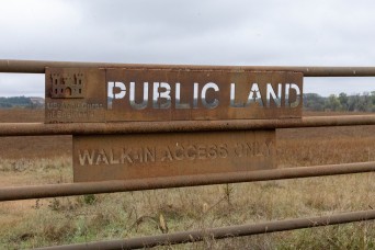 Kanopolis Lake: Go for the water, stay for the land