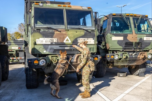 Unleashing potential: military working dogs benefit from holistic health, fitness