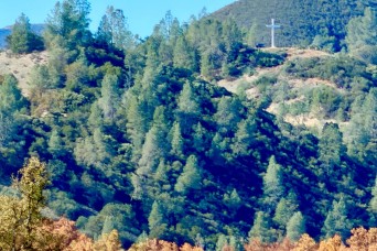 A healthy perspective and resilience