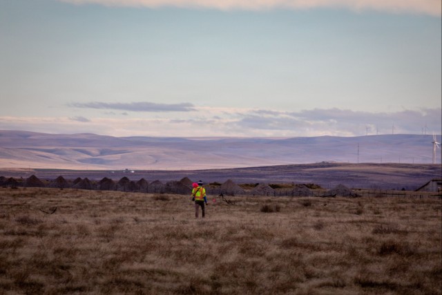 Military Munitions Response Program staff conduct fieldwork at former Umatilla Chemical Depot
