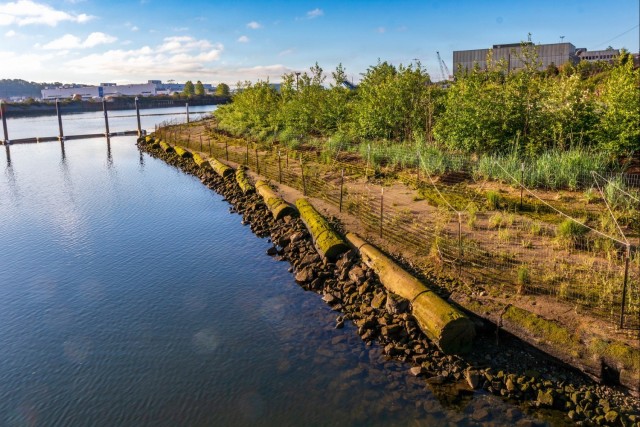 Second Life: Turning Debris into Critical River and Coastal Habitats