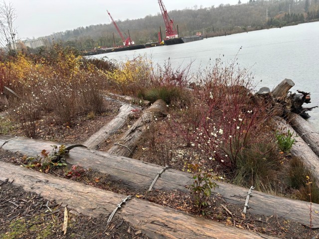 Second Life: Turning Debris into Critical River and Coastal Habitats