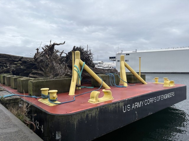 Second Life: Turning Debris into Critical River and Coastal Habitats