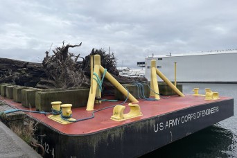 Second Life: Turning Debris into Critical River and Coastal Habitats