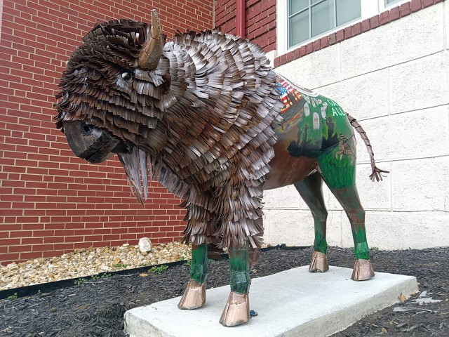 Spirit of the Buffalo
