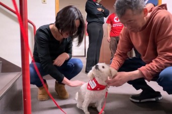 Therapy Dogs and Good Vibes: JED Coffee and Dog Cuddles Event