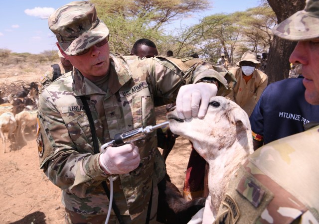US, Kenya veterinarians treat local animals during Justified Accord