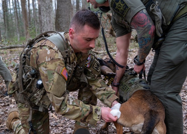 Maryland Guard helicopters and police K-9 units collaborate during MEDEVAC training