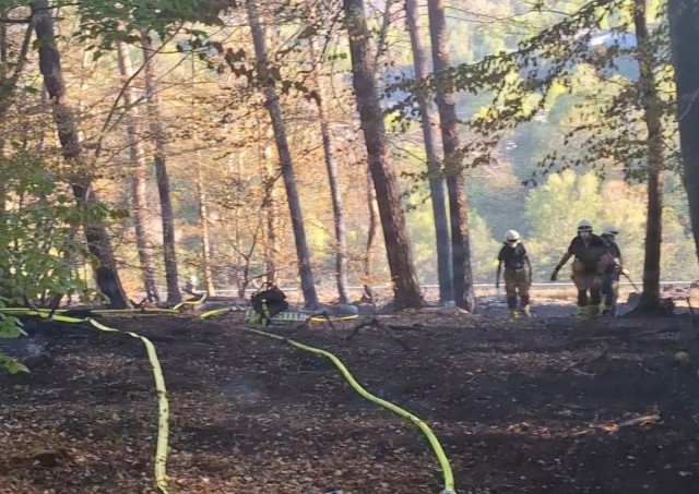 USAG Rheinland-Pfalz, German firefighters unite to battle autobahn brush fire
