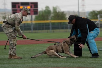 Top Indo-Pacific K9 warriors united for elite military working dog competition