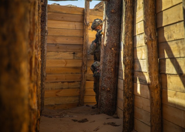 Integration Meets Innovation: U.S., U.K. forces prove lethality against aerial threats at Project Flytrap