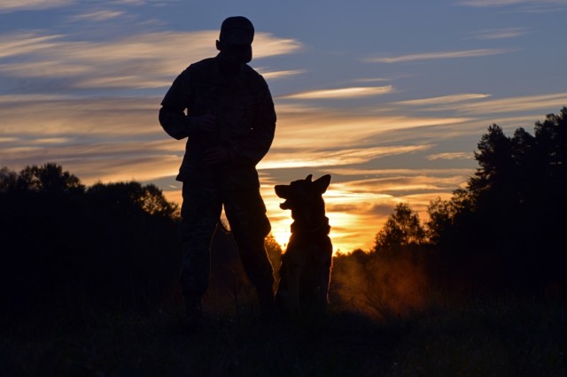 Early Morning Military Working Dog Obedience Training