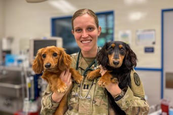 Bringing your pet to Okinawa: What to expect and who’s here to help