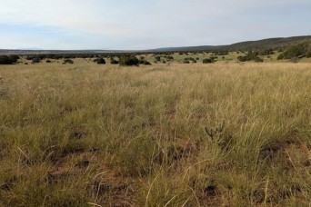WSMR key collaborator in the successful conservation of “Turkey Ridge”