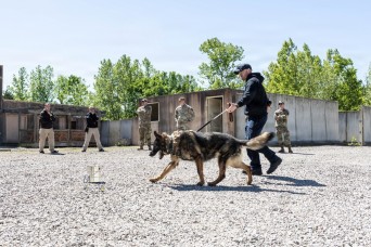 Fort Knox military working dog detachment facilitates joint training for local law enforcement
