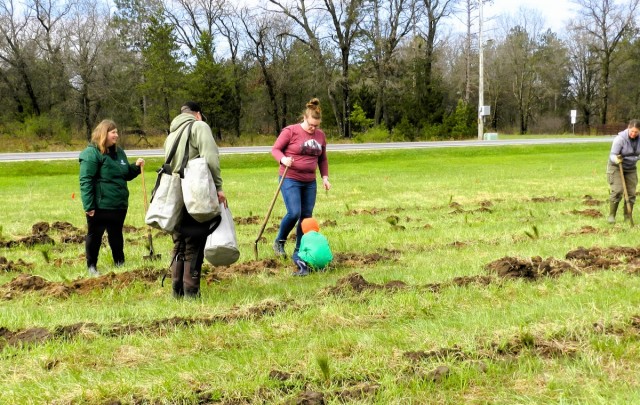 How Tree City USA works, plus how Fort McCoy earned its 37-year streak