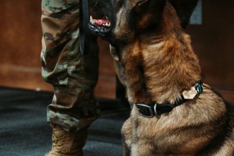 Green Berets with a Nose: 1st Special Forces Group (Airborne) Honors Retired Multi-Purpose Canines