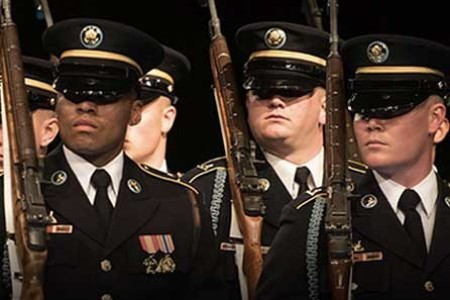 The Army's Structure spotlight image