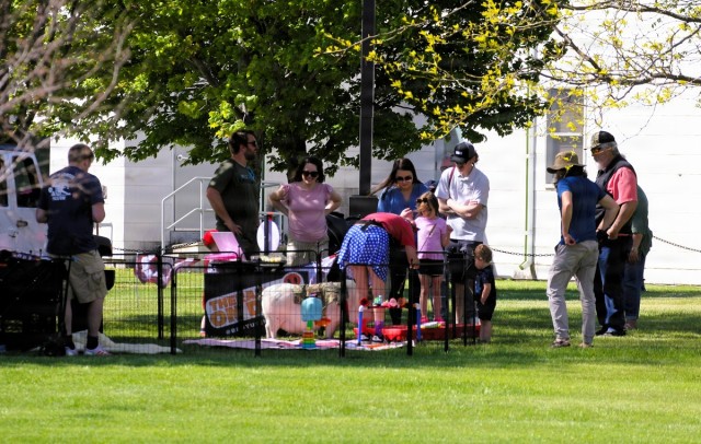 2026 Fort McCoy Armed Forces Day Open House
