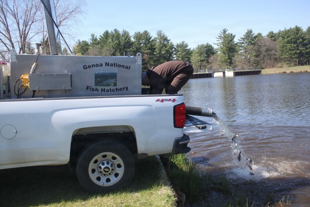 15,000 rainbow trout stocked at Fort McCoy in time for May 2026 fishing opener