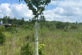 Aberdeen Proving Ground Recognized for Elite Forest Management and Urban Tree Care