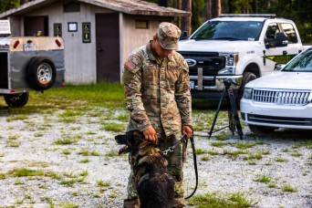 It’s a ruff mission, but military working dogs got to do it.