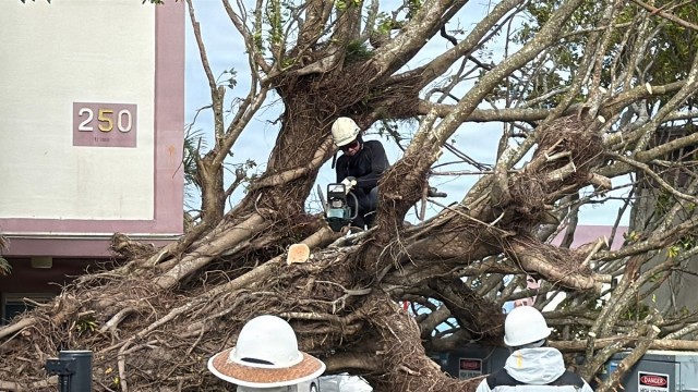 USAG Okinawa DPW clears Typhoon Bavi debris