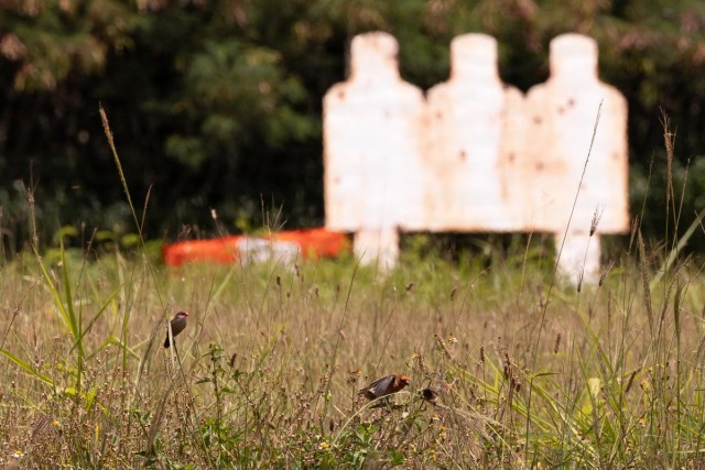 Photos of a sacred Hawaiian land