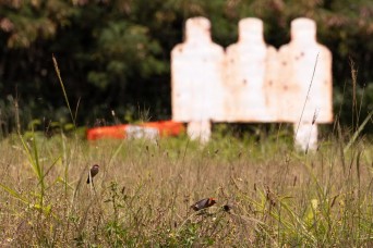 Helping to restore a sacred Hawaiian land